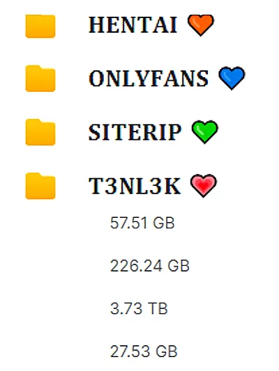 BIG FOLDER - [ 4TB ]