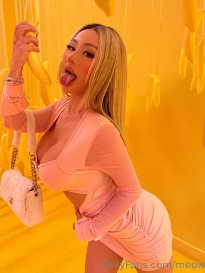 MeowBarbie PART 1 - 4.94